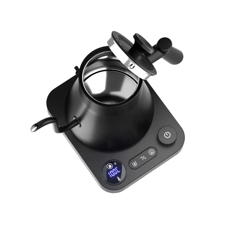 Electric Kettle with Temperature Control